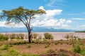 Lake Abaya