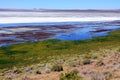 Lake Abert Wildlife and Scenery Royalty Free Stock Photo