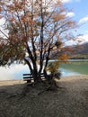 Lake Acigami Ushuaia Argentina Royalty Free Stock Photo