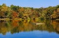The lake against autumn beautiful trees.