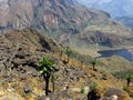 Lake against a Mountain background, Rwenzori Mountains