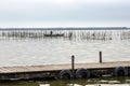 Lake and Albufera Natural Park El Parque Natural de la Albufera de Valencia on a cloudy day. Royalty Free Stock Photo