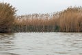 Lake and Albufera Natural Park El Parque Natural de la Albufera de Valencia Royalty Free Stock Photo