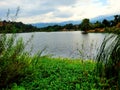 The Lake in Almaden Lake Park with blue water and aquatic plants