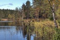 Lake amongst the woods in Sweden