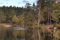 Lake amongst the woods in Sweden