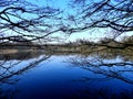 Lake in the Amsterdamse Bos, the Netherlands