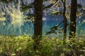 Annette Lake seen through trees near North Bend, Washington, USA Royalty Free Stock Photo