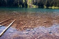 Annette Lake with snags in the water near North Bend, Washington, USA Royalty Free Stock Photo