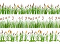 Lake aquatic plant borders. Seamless swamp cattails, marsh reed and strip of coastal river plants vector illustration Royalty Free Stock Photo