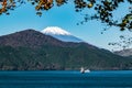 Lake Ashinoko with Mt. Fuji in the background