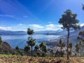 Lake Atitlan & 5 volcanoes looking from hilltop, Guatemala