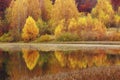 Lake in autumn forest, amazing panoramic nature autumn scenery. Royalty Free Stock Photo