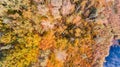 Lake and autumn forest with colorful leaves, aerial drone view Royalty Free Stock Photo