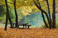 Lake in autumn forest Royalty Free Stock Photo