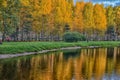 Lake in the autumn Royalty Free Stock Photo