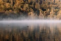 Lake during the Autumn sunrise with fog and trees in the background