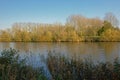 Lake with autumn trees and reed in the Flemish countryside