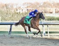 Lake Avenue winning the Demoiselle Stakes