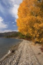 The lake Baikal in autumn