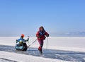 LAKE BAIKAL, IRKUTSK REGION, RUSSIA - March 08, 2017: Man on skates rolls girl on sledge drag Royalty Free Stock Photo