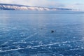 Lake Baikal in winter season. Cracks on the smooth surface of the ice with car and people on ice. Olkhon Island. Winter tourism co