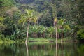 Lake Balinsasayao in Dumaguete on Negros Island, Philippines Royalty Free Stock Photo