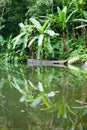 Lake Balinsasayao in Philippines