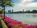 Lake Bangkok Benchakitti park Bougainvillea flowers