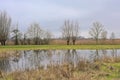 Lake with bare trees in the flemish countryside Royalty Free Stock Photo