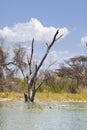 Lake Baringo, Kenya Royalty Free Stock Photo