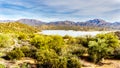 Lake Bartlett surrounded by the mountains and many Saguaro and other cacti in the desert landscape of Arizona Royalty Free Stock Photo