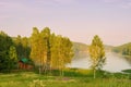 Lake bay with birches in the foreground Royalty Free Stock Photo