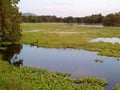 Lake,beautiful natur