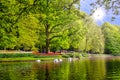 Lake with beautiful white swans in Keukenhof park, Lisse, Holland