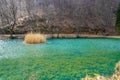 Lake among beech forest. Peaceful landscape of nature in early spring, sunny afternoon Royalty Free Stock Photo