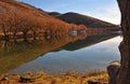 Lake Benmore in Autumn, Otago, New Zealand Royalty Free Stock Photo