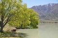 Lake Benmore shore Royalty Free Stock Photo