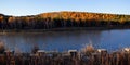 Lake and birch forest in the morning light Royalty Free Stock Photo