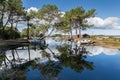 The lake of Biscarrosse in France