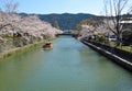 Okazaki Canal and cherry trees Royalty Free Stock Photo