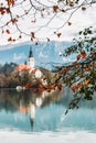 Lake Bled with beautiful reflections in autumn season Royalty Free Stock Photo