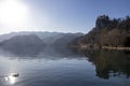 Lake Bled with castle above the water and duck Royalty Free Stock Photo