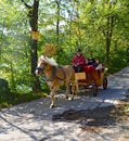 Lake Bled Excursion, Slovenia