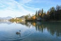 the charming natural scenery of Lake Bled with Alps at background and blue water