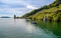 Lake with a boat