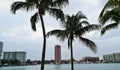 Boca Raton city skyline with palm trees Royalty Free Stock Photo