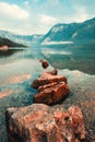 Lake Bohinj in Triglav national park in Slovenia, scenic landscape in summer morning Royalty Free Stock Photo