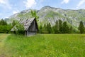 Lake Bohinj and Ukanc village in Triglav national park, Slovenia