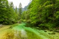 Lake Bohinj and Ukanc village in Triglav national park, Slovenia Royalty Free Stock Photo